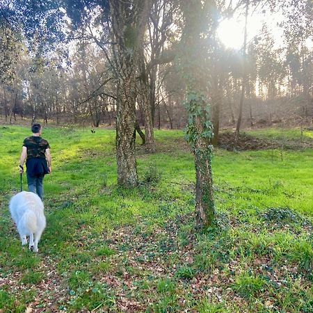 Willa Quinta Do Senhor Braga Zewnętrze zdjęcie
